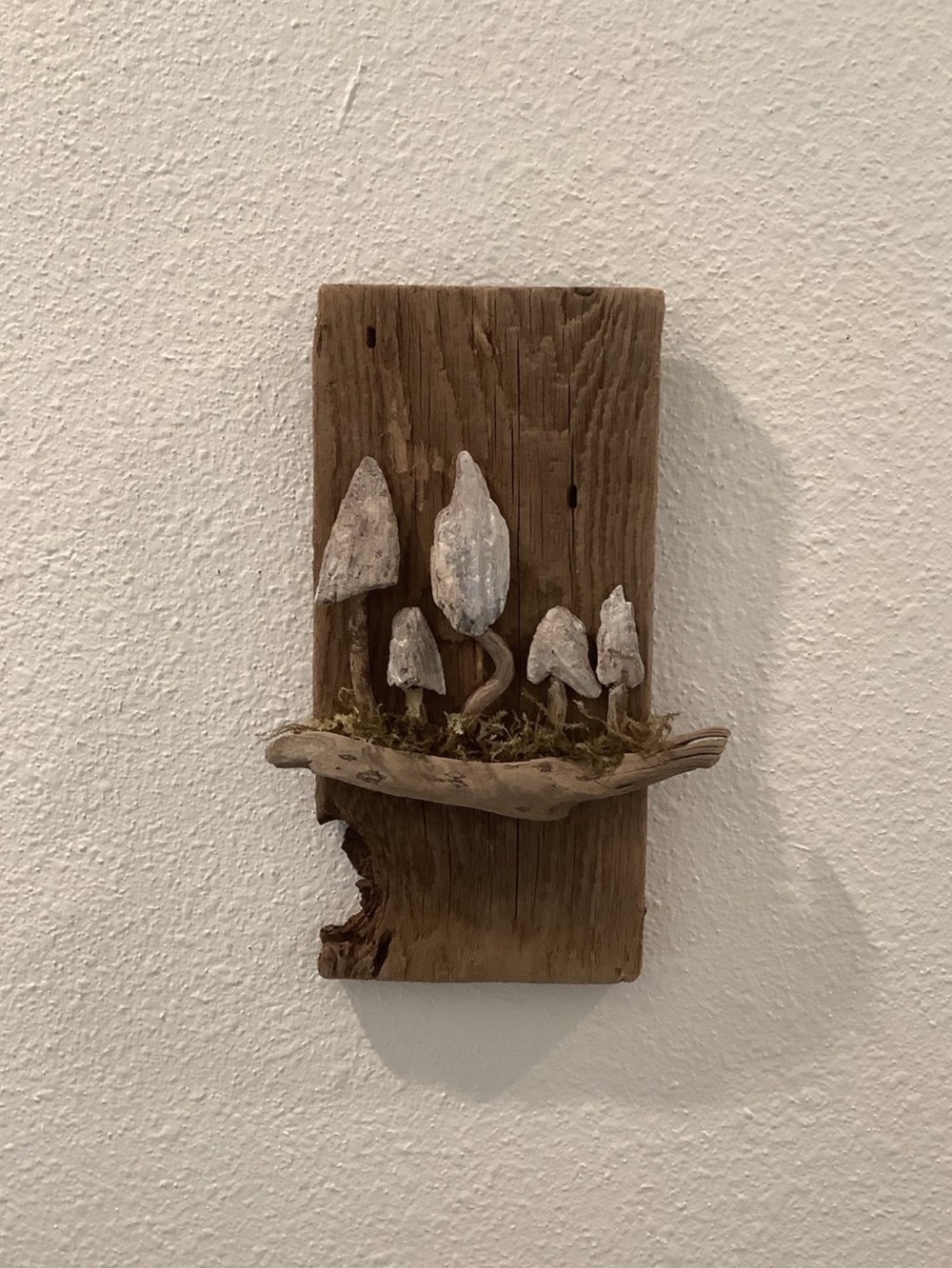 Driftwood Art , Driftwood Mushrooms, Mushroom Art, Driftwood Coastal Decor
